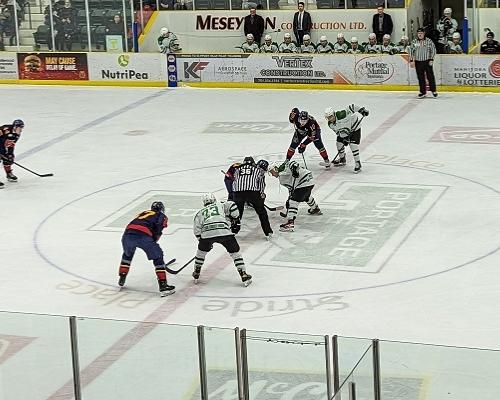 Nighthawks In Portage